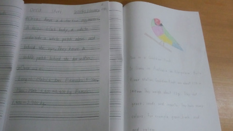 shoei and Mai book 2