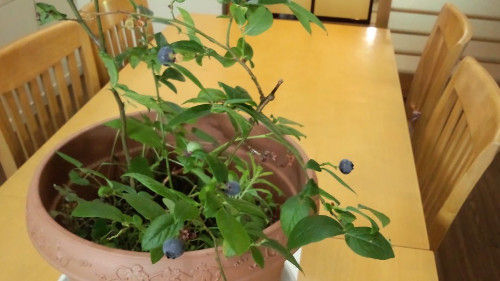 イメージ 9