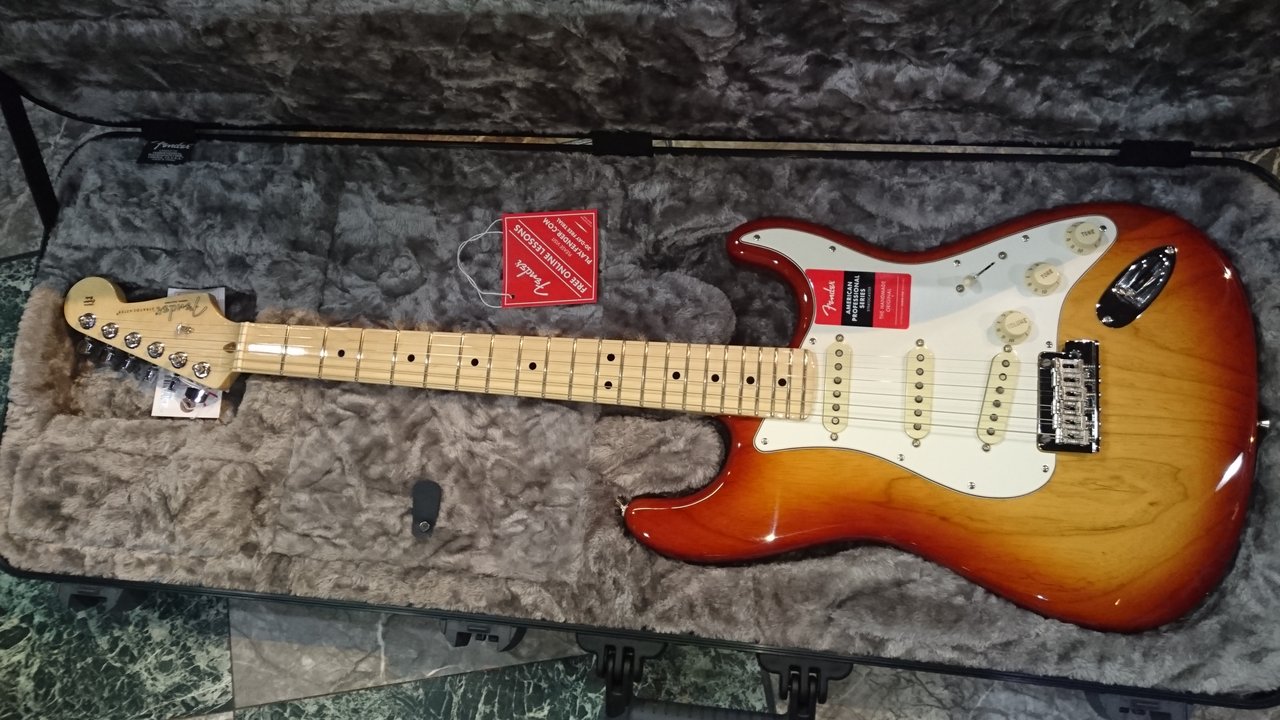 Fender American Professional Stratocaster Sienna Sunburst : 音の