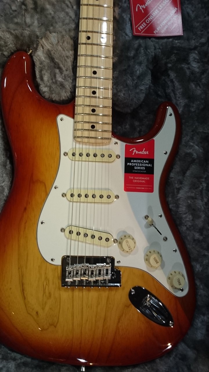 Fender American Professional Stratocaster Sienna Sunburst : 音の
