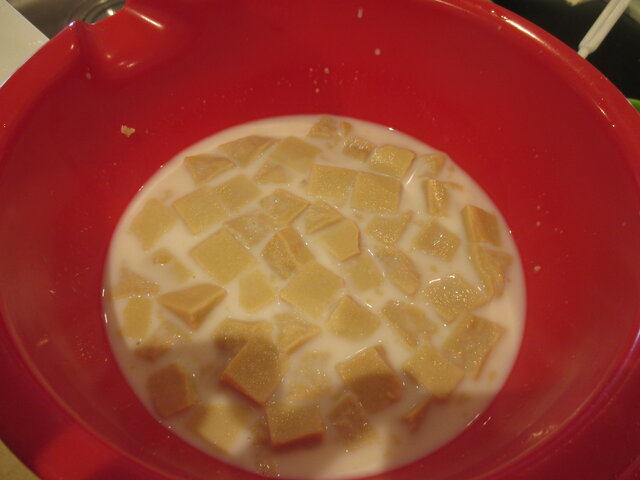 ミントユニットより 高野豆腐をスイーツに はくしま日記