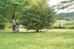 tcd-158-still-2