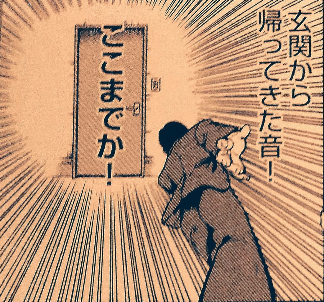 本田鹿の子の本棚 暗黒文学少女篇 久々に笑った 独善的な批評