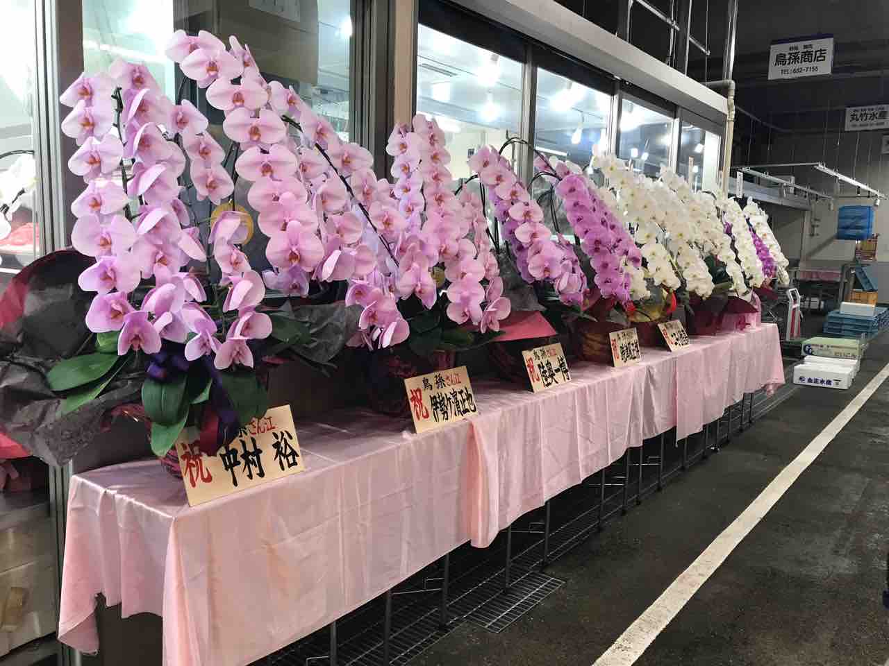 市場で刺身定食 メバル煮定食 白子ポン酢 いちます 名古屋市中央卸売市場本場 愛知県名古屋市熱田区川並町 Red List Restaurant