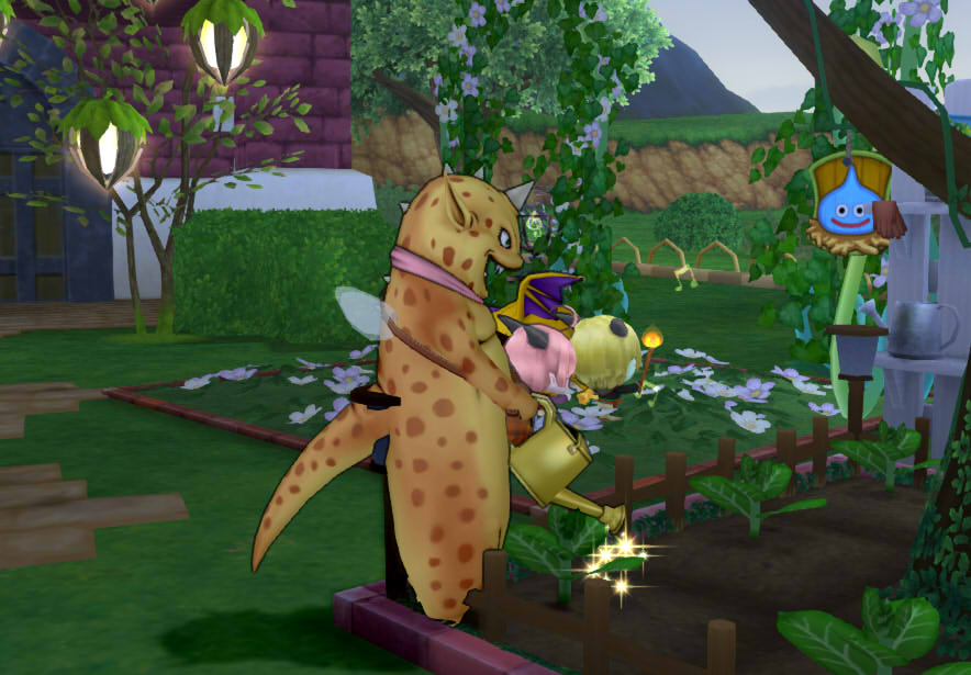 雨と畑とコンシェルジュ この道わが旅 Hal S Blog