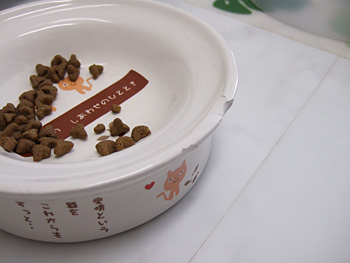 ペティオ 猫専用陶器食器(ドライフード向)欠け