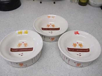 ペティオ 猫専用陶器食器(ドライフード向)箱なし