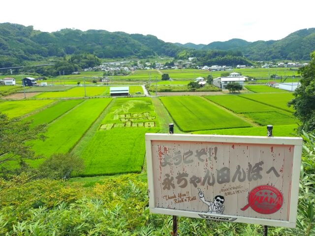 エントリ画像