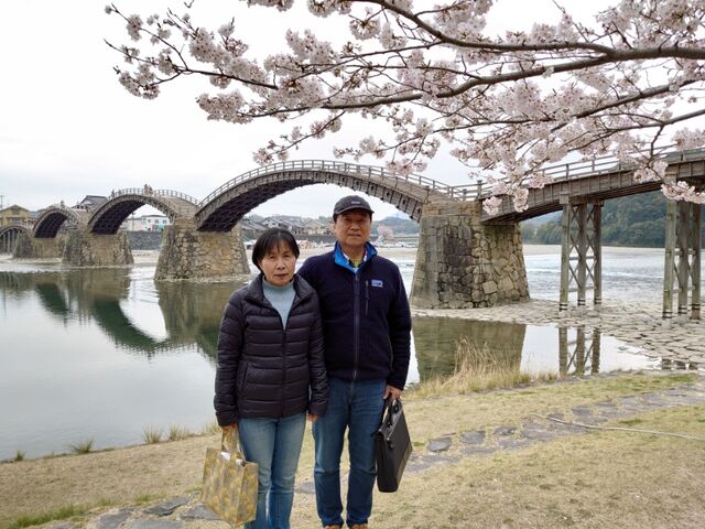 錦帯橋の桜 そんな時代も 錦帯橋の桜 そんな時代も