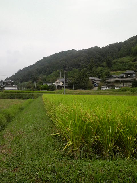 そんな時代も・・・。:田舎の風景。