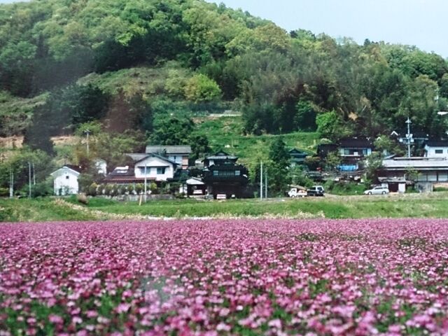 PIC000489