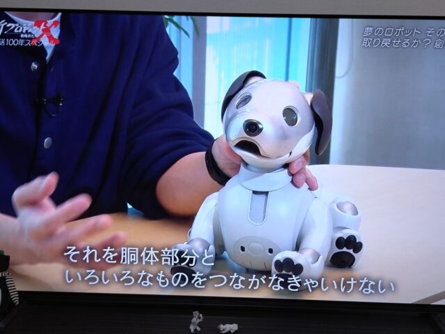 aibo登場