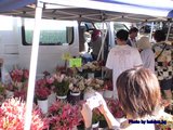 KCC花屋