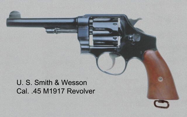 02_S&WM1917