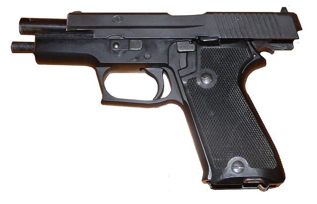 02_P220
