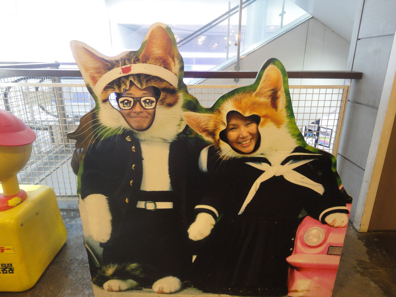 お台場一丁目 なめ猫 顔ハメ看板