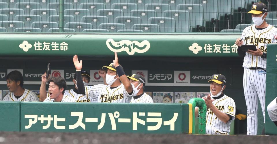 プロ野球 阪神2軍 ウエスタンl で 怒涛の 18連勝 野球場へ行こう 野球全般