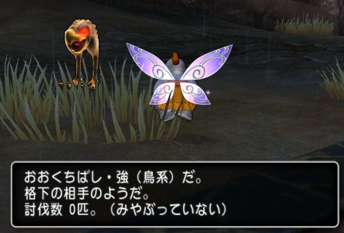 クチバシ観察ドワーフ こんにちはドワーフです