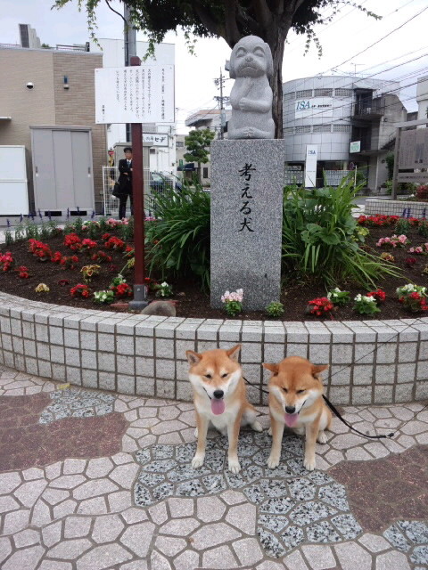 考える犬の像 柴犬トキまるタカまる10歳