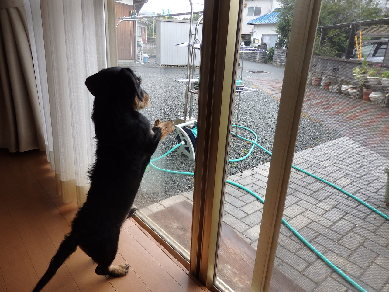 冷えピタの誤飲にご注意 ｈ ｌ ｎｉｃｏそしてｂ ｌ