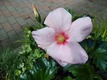 IMG_20200519_094205