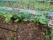 IMG_20200517_130031