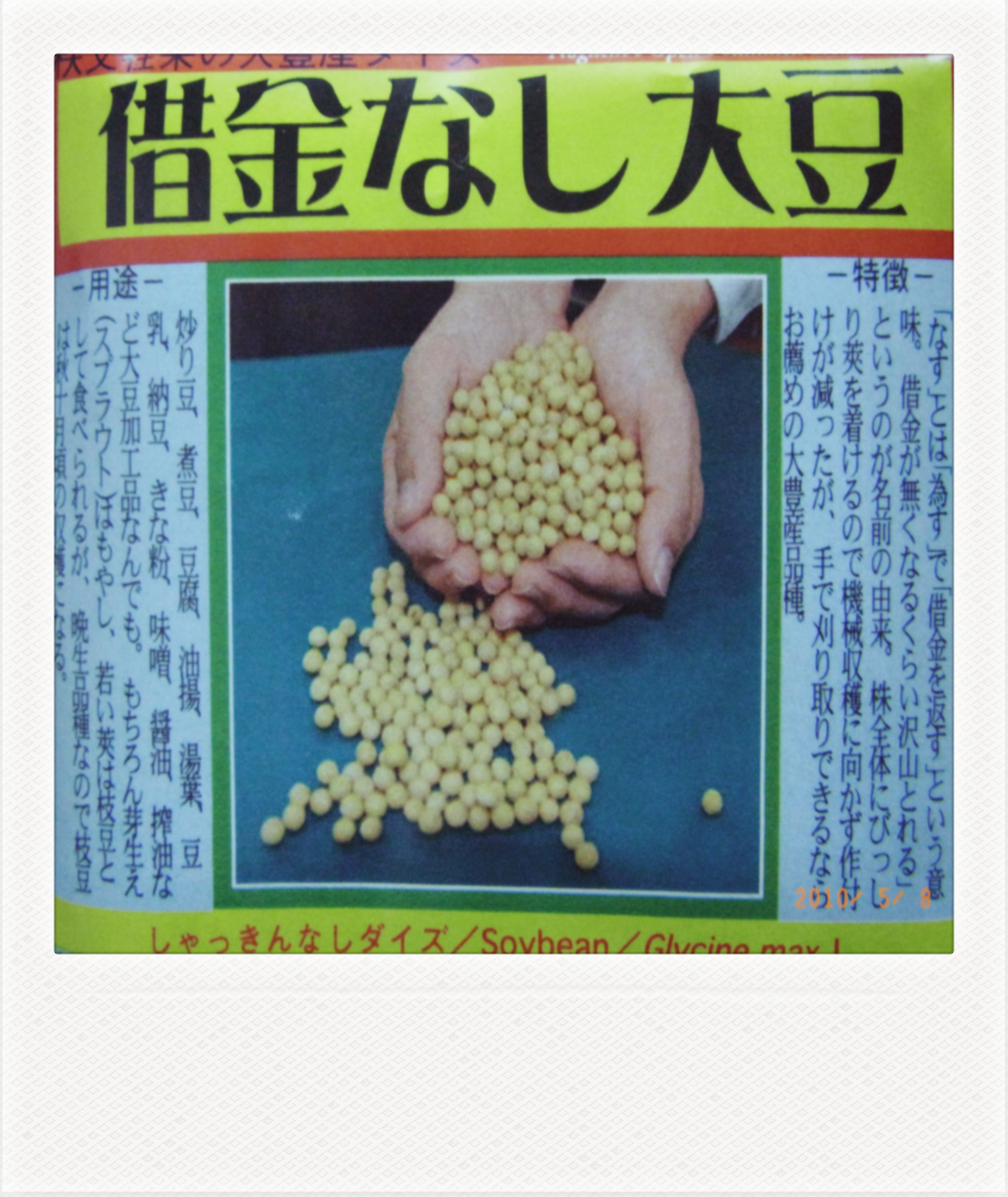 固有種 1 はるゆき野菜