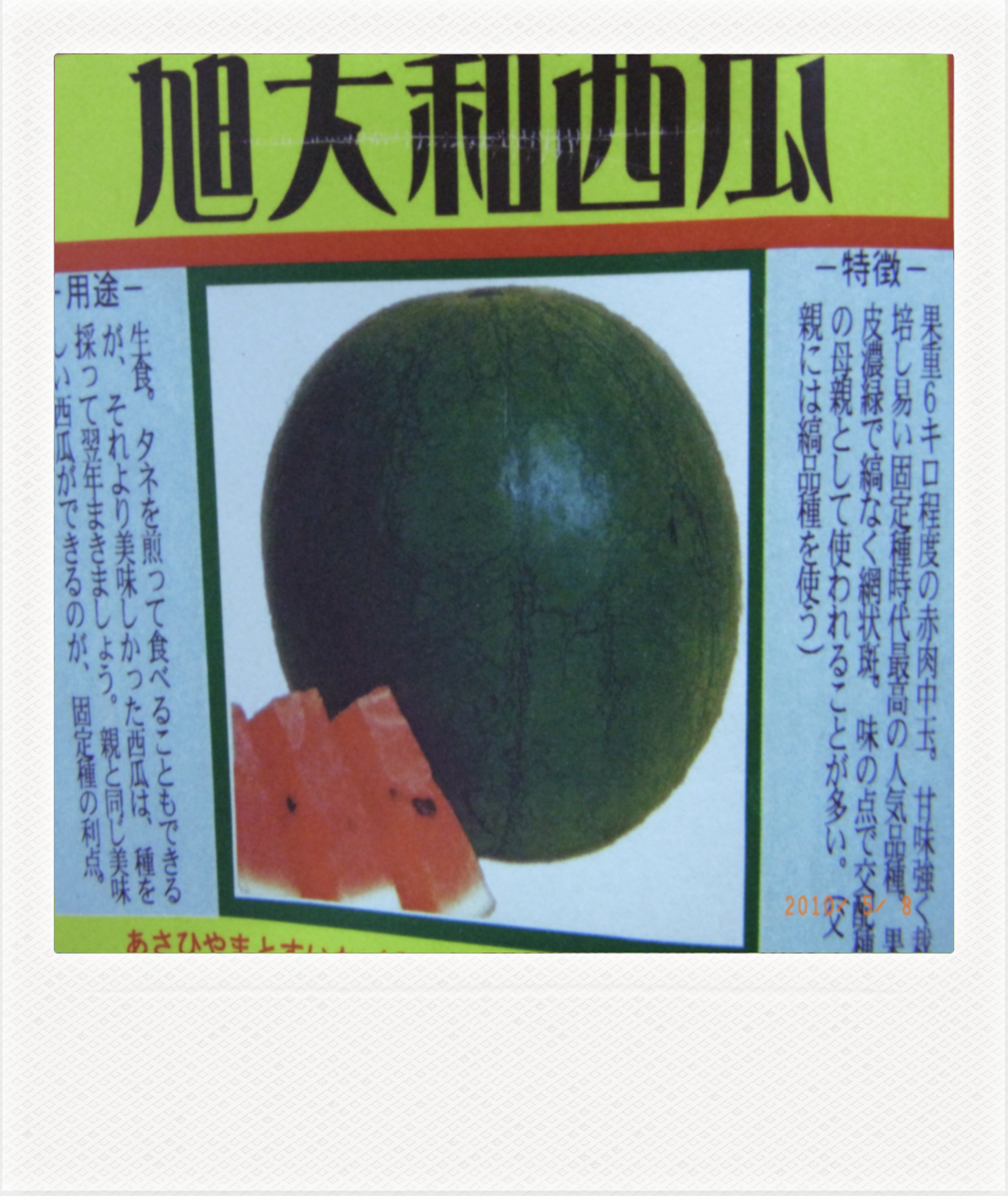 固有種 1 はるゆき野菜