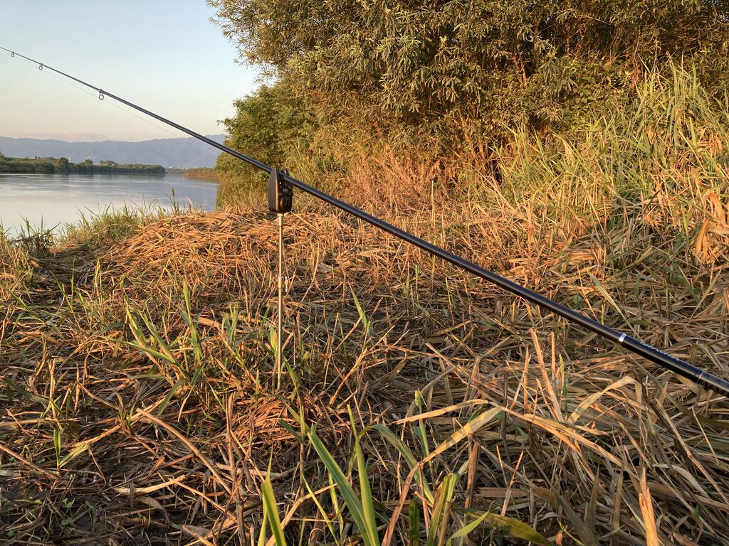 21年8月28日 29日の釣果 揖斐川 のりおの吸い込みで巨鯉待つ 21年8月28日 29日の釣果 揖斐川 のりおの吸い込みで巨鯉待つ