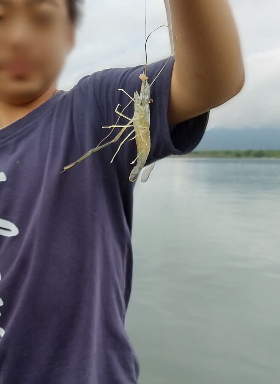 年9月12日の釣果 のりおの吸い込みで巨鯉待つ