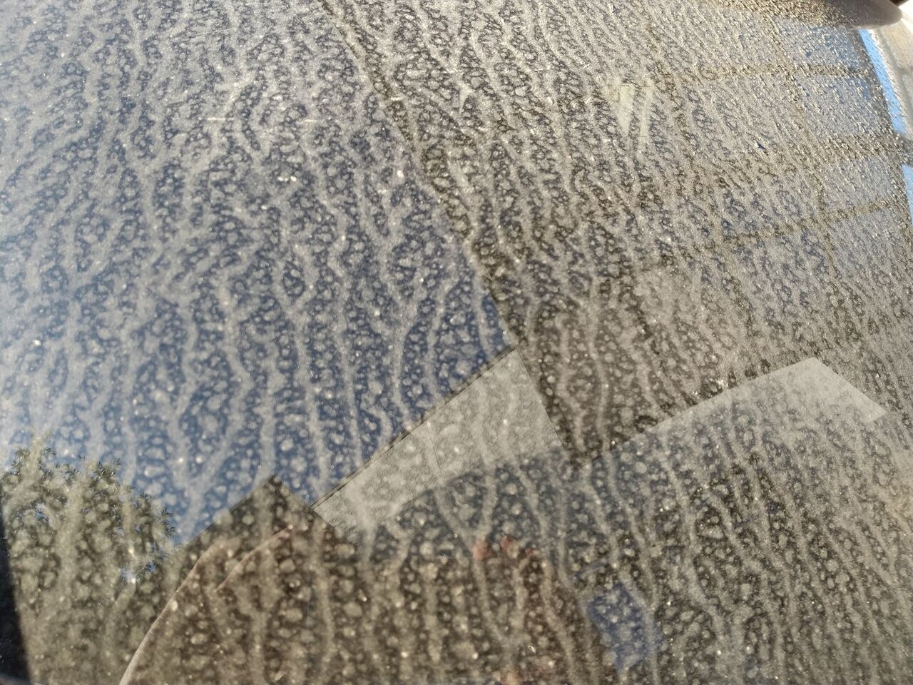 年8月15日の釣果 午後の部 木曽川 のりおの吸い込みで巨鯉待つ