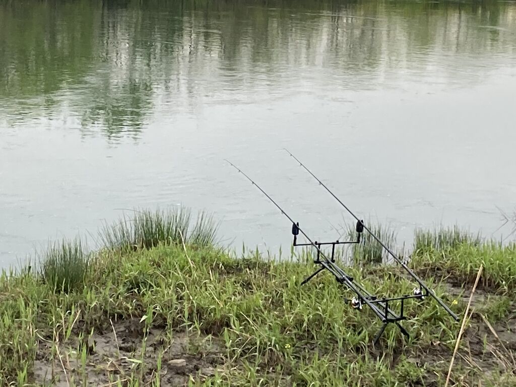 21年4月3日の釣果 揖斐川 のりおの吸い込みで巨鯉待つ 21年4月3日の釣果 揖斐川 のりおの吸い込みで巨鯉待つ