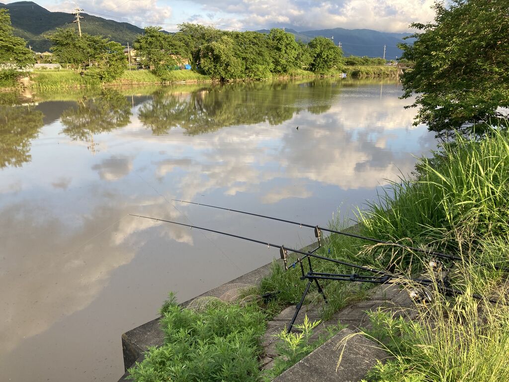 21年5月23日の釣果 中江川 のりおの吸い込みで巨鯉待つ
