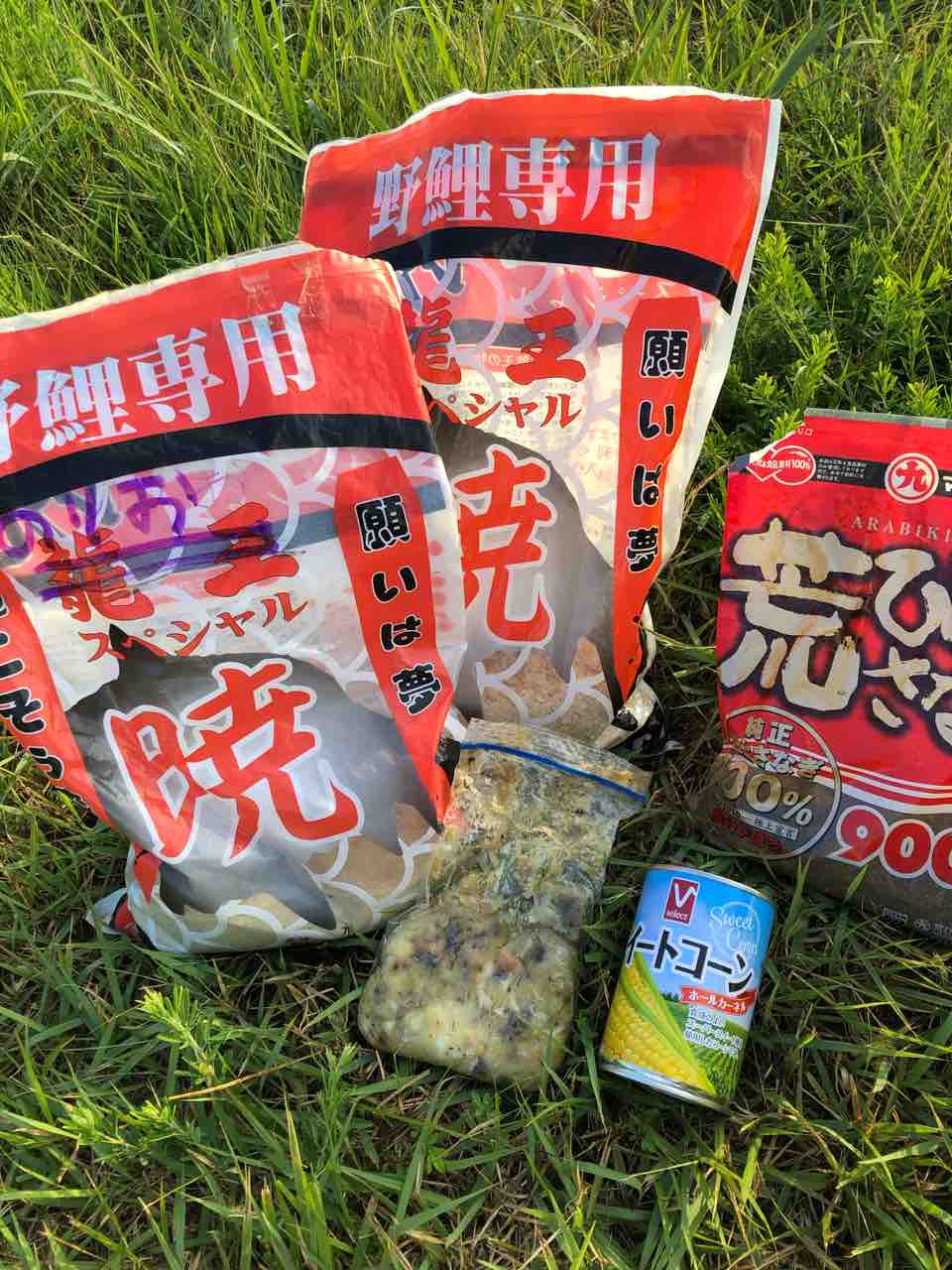 年6月21日の釣果 津屋川 のりおの吸い込みで巨鯉待つ 年6月21日の釣果 津屋川 のりおの吸い込みで巨鯉待つ