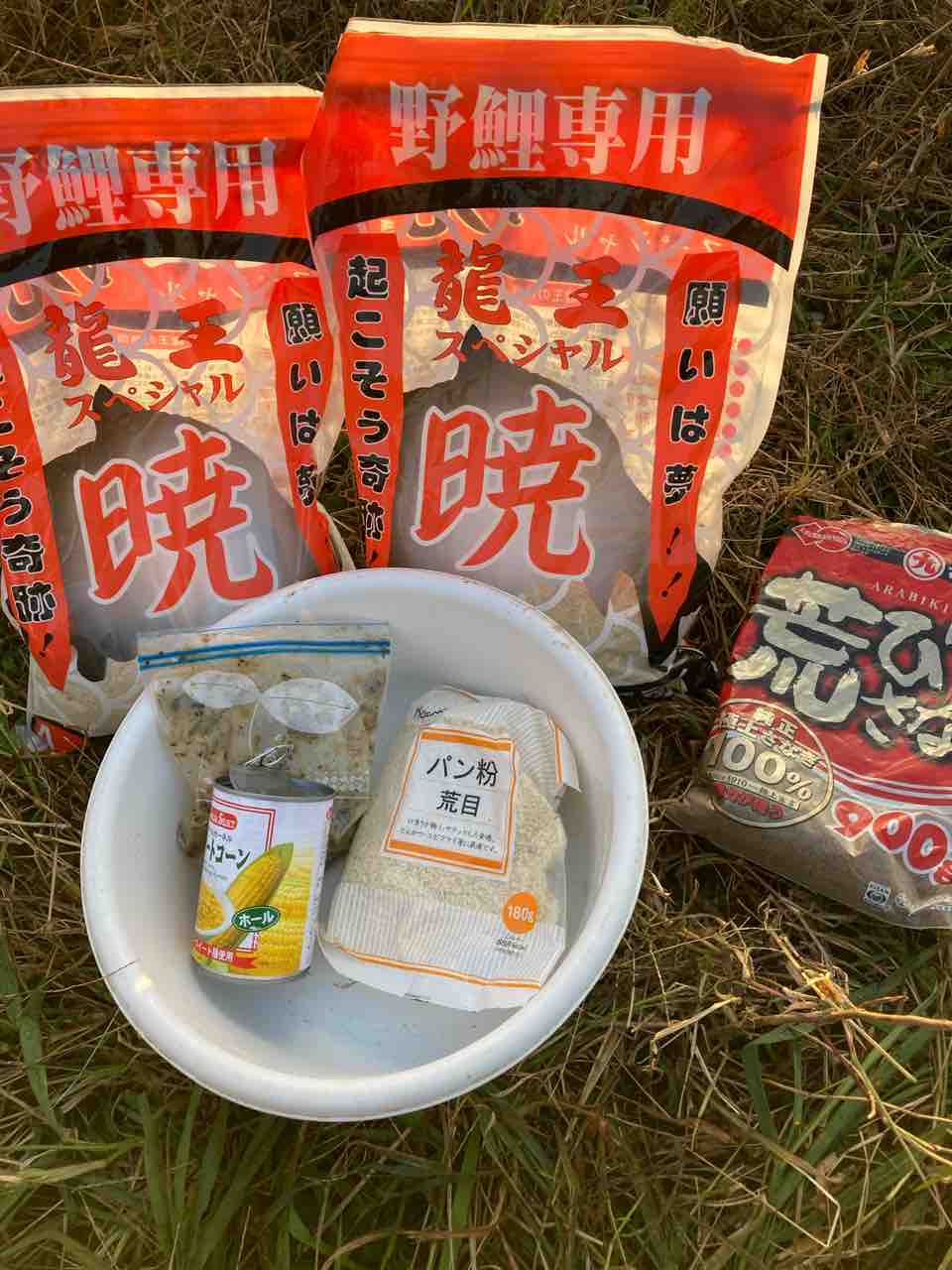 年12月13日の釣果 長良川 のりおの吸い込みで巨鯉待つ