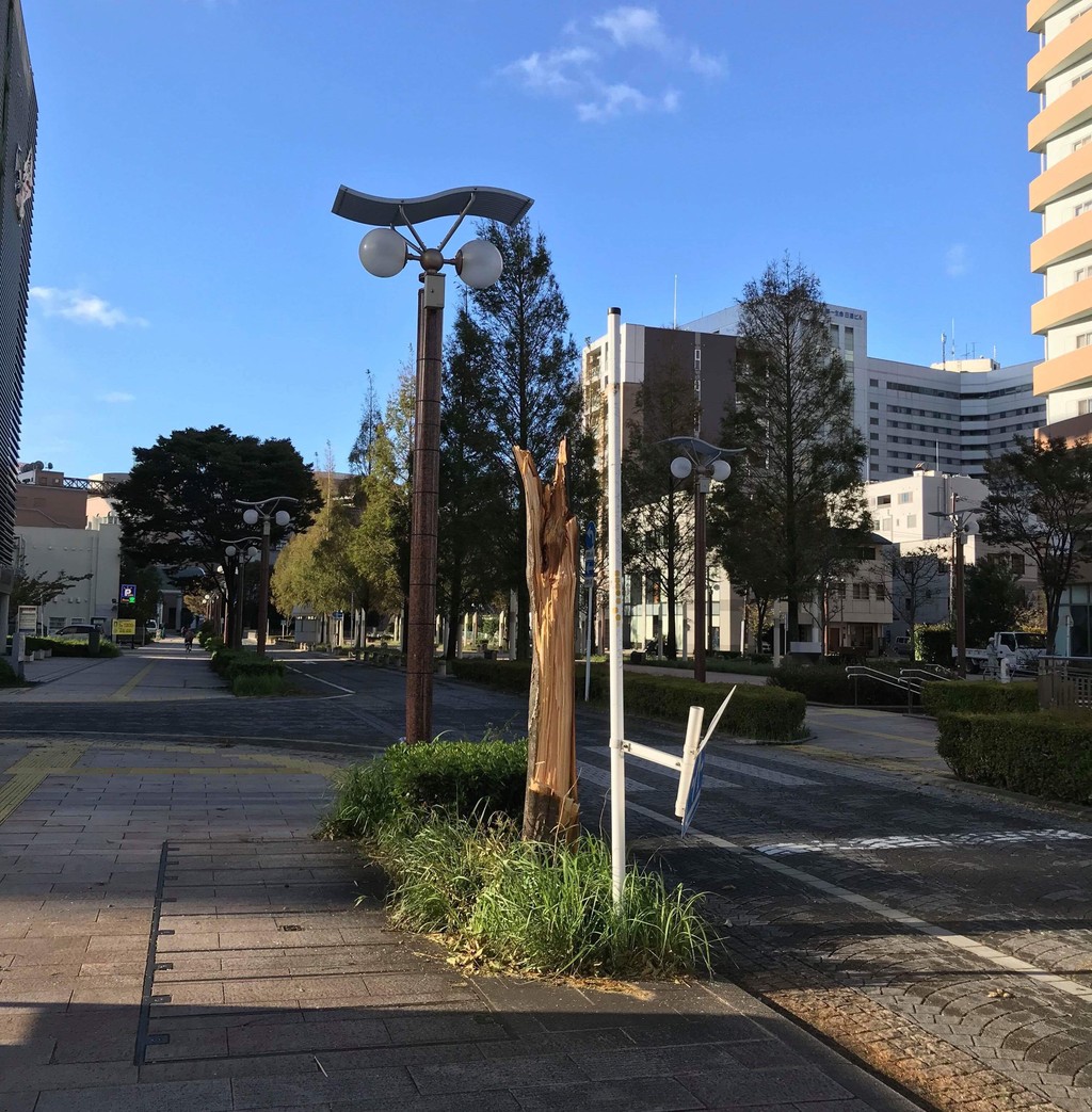 10 1 12時現在 依然として広範囲で停電中 さわやかの看板が倒れた