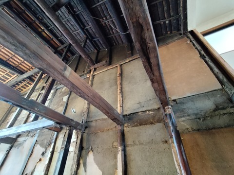 IMG20251116141239 - コピー