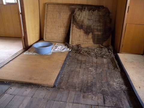 DSCN7895 - コピー