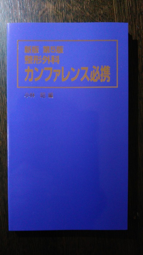 KIMG1139 - コピー