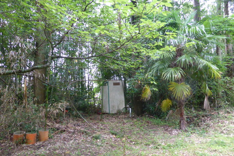 P1140028