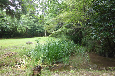 P1140034