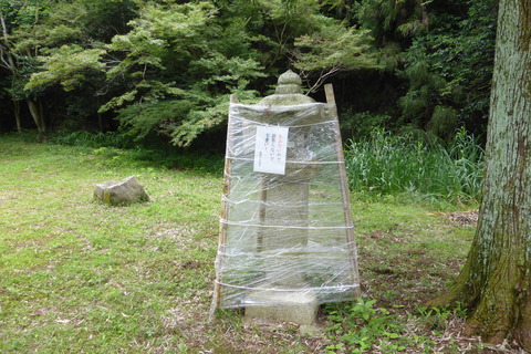 P1140030