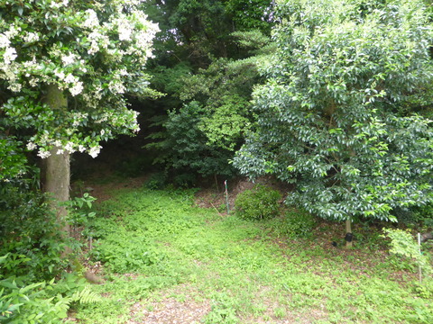 P1240342