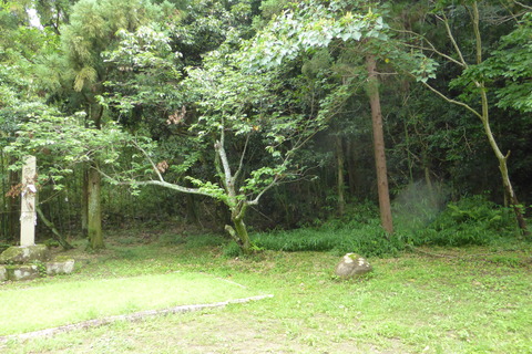 P1140033
