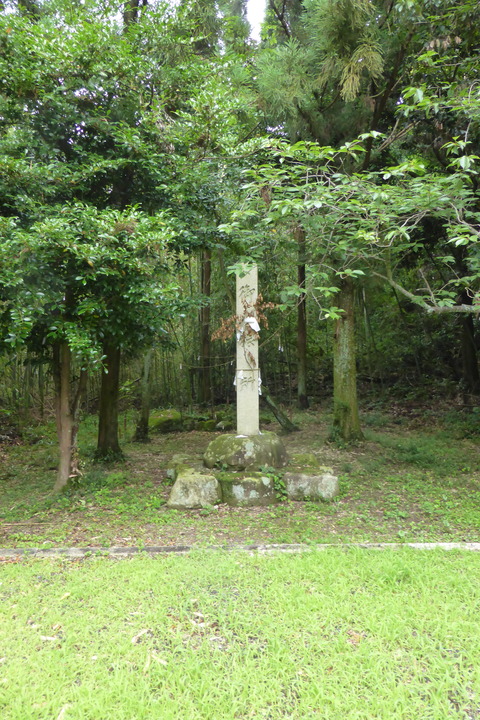 P1140031