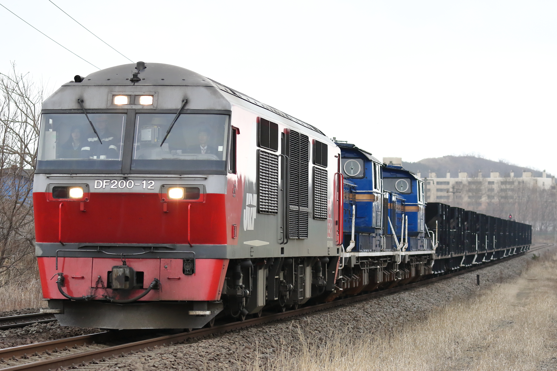 7D2_20160308 (23)