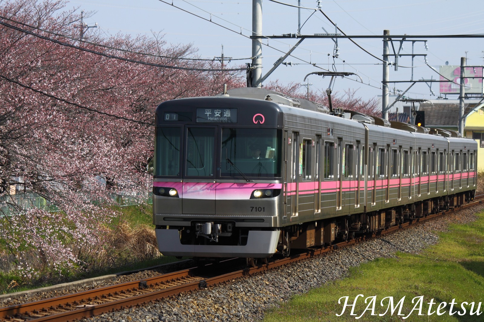 DPP_6597