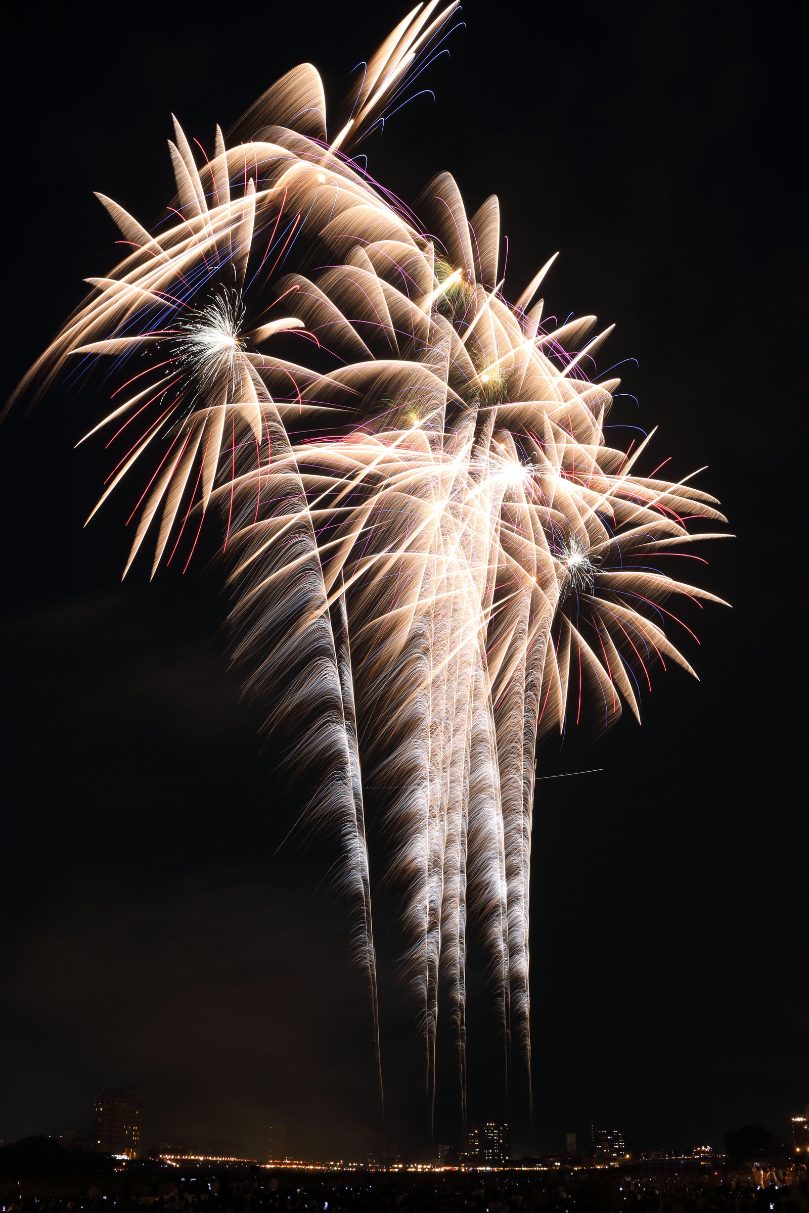 7D2_20150801 (154)-1