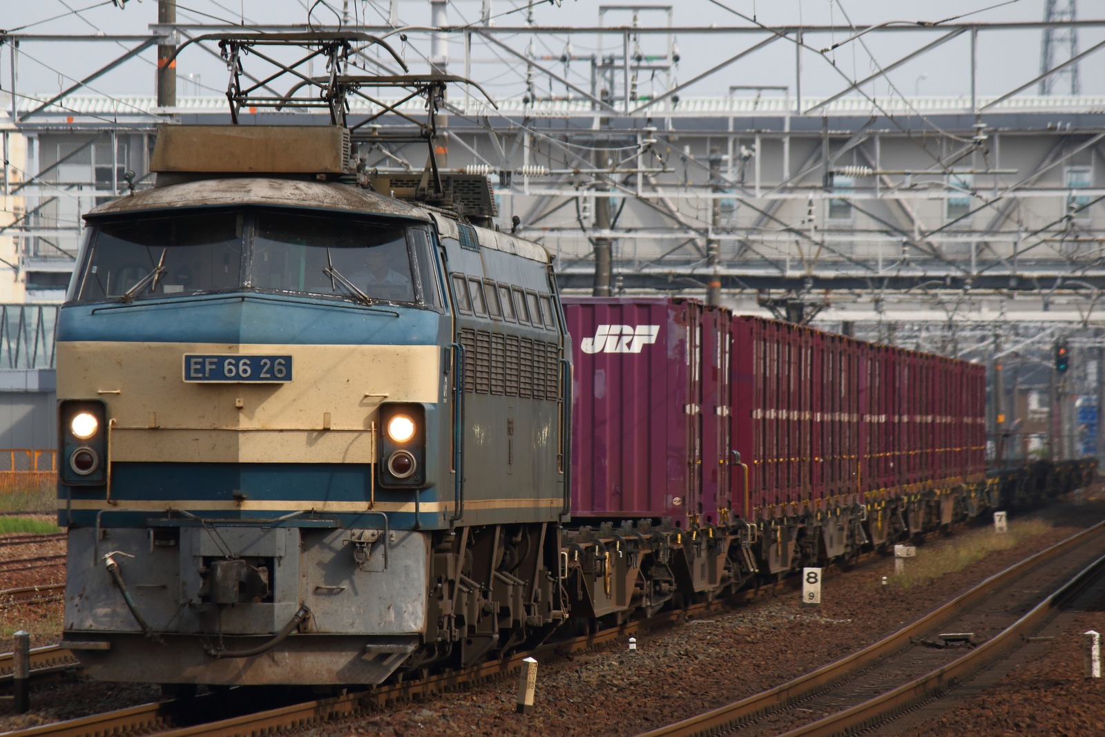 DPP_00209