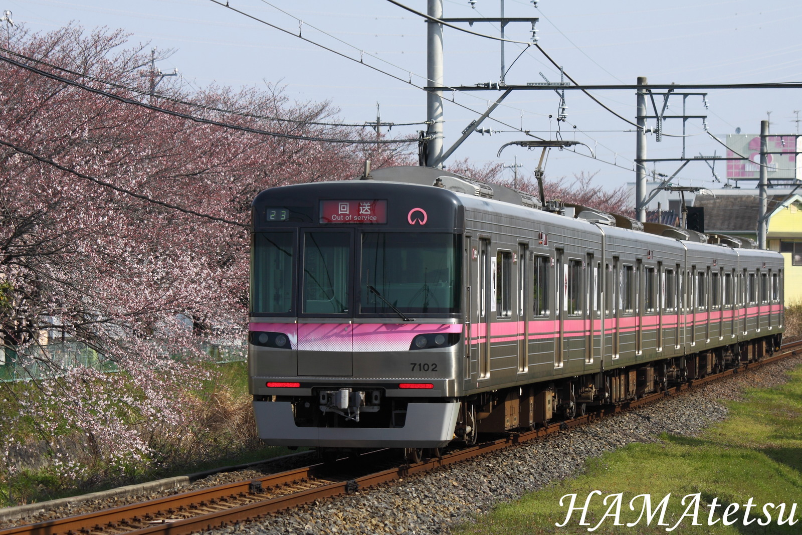 DPP_6609